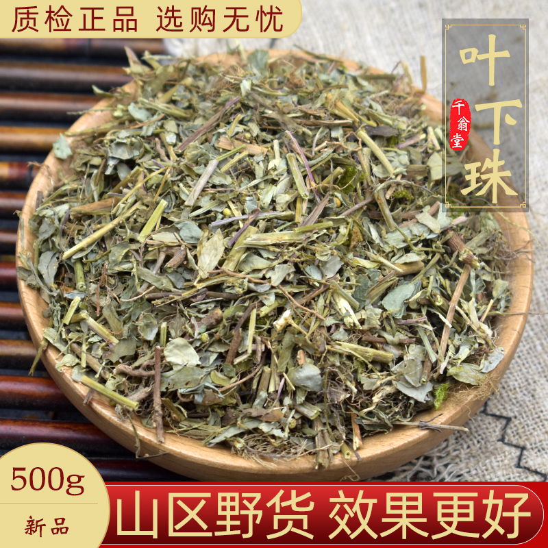 精选叶下珠中药材正品新货