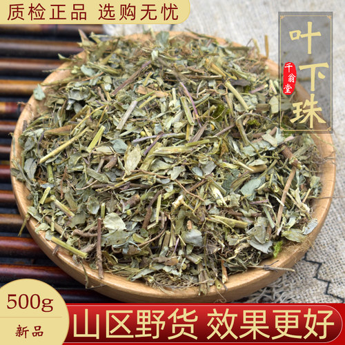 精选叶下珠中药材正品新货