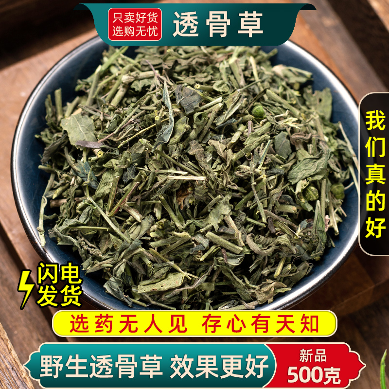 精选透骨草中药材正品新货