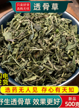 野生透骨草中药材500g/250克透骨草中草药珍珠透骨草泡脚透骨草粉