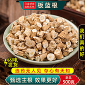 大青叶根 100g板蓝根段板蓝根粉草药枕芯 板蓝根中药材500克 250