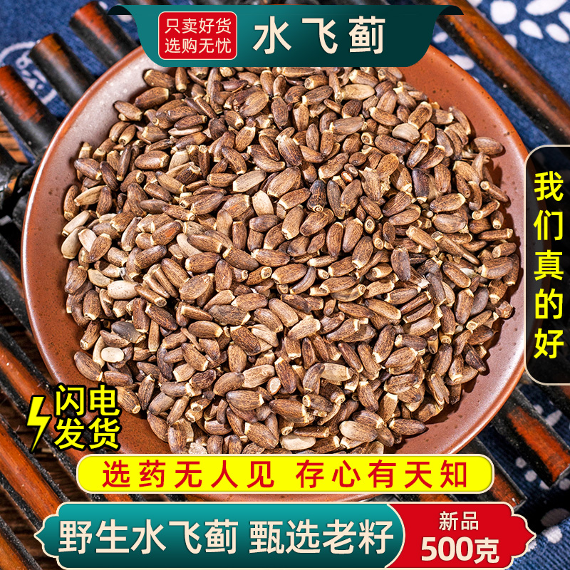 野生水飞蓟中药材正品新货