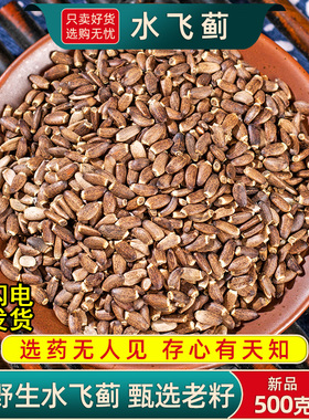 野生水飞蓟中药材500克/250g水飞蓟种子水飞蓟果实水飞雉奶蓟草籽