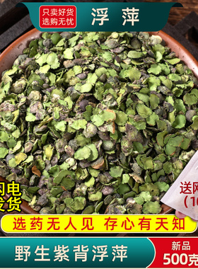 野生浮萍中药材500克/100g药用紫背浮萍田萍干浮萍洗发浮萍一味药