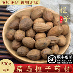 野生榧子中药材500克/250g生香榧子玉山果赤果玉榧香榧药用正品