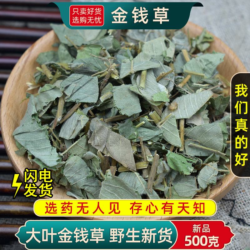 精选金钱草野生中药材正品新货