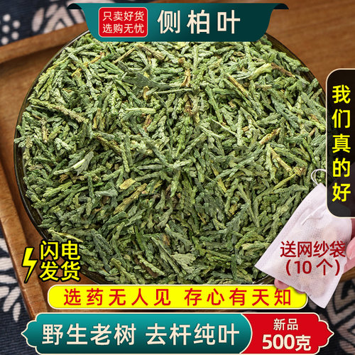 精选侧柏叶中药材正品新货