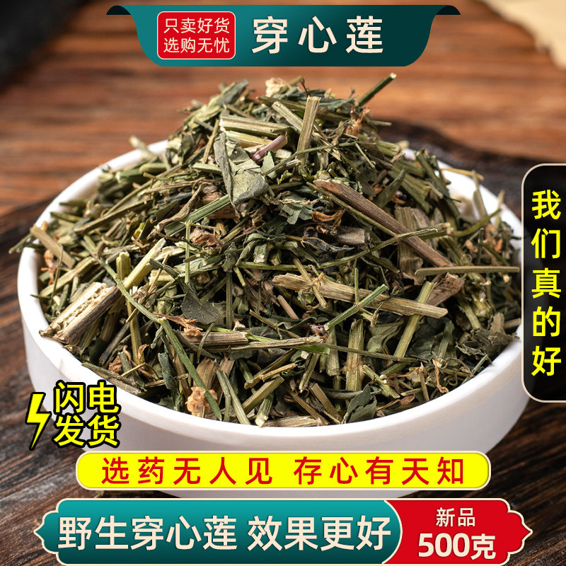 野生穿心莲中药材500/250/100g穿心莲茶一见喜川心连川心莲穿芯莲