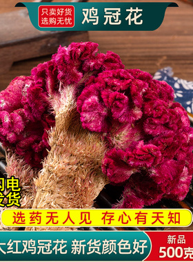 鸡冠花中药材500g/250克紫鸡冠花干花鸡冠花药用凤尾大红鸡冠花