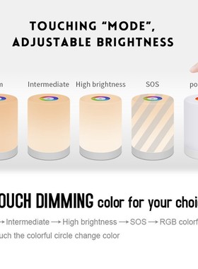 LED Touch Control Night Light Dimmer Lamp Smart Bedside Lamp
