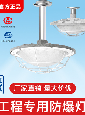 亚明led防爆灯仓库厂房加油站车间工厂防水灯罩隔爆型照明地雷灯