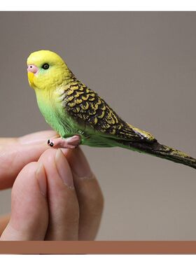 仿真动物 鸟类 蓝色鹦鹉 小鸟玩具塑料玩偶模型手办摆件