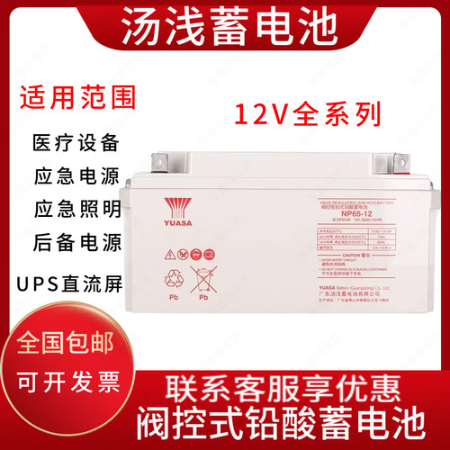 汤浅蓄电池NP100-12 12V100AH12V65AH12V120AH38AH24AH150AH200AH