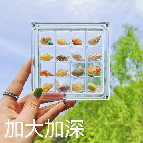 节日创意亚克力透明贝壳收纳盒