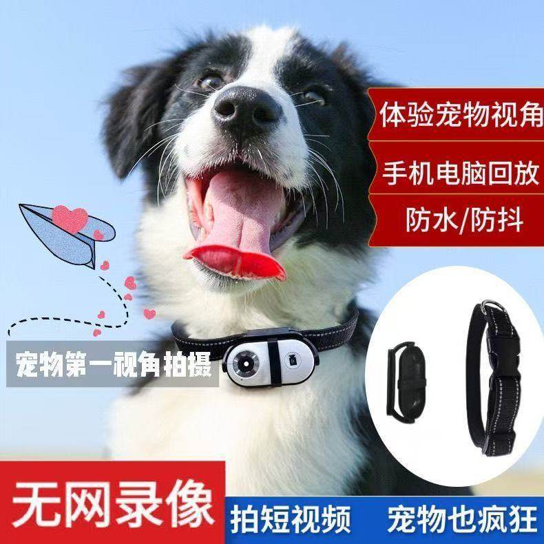 宠物记录仪猫狗视角摄像机运动相机胸前项圈挂脖宠物直播摄像头