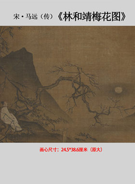 南宋马远（传）林和靖梅花图宋小画原大高清微喷复制临摹教学素材