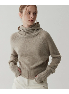 若若韩代正品直邮oder25薄款纯色连帽套头高领上衣针织衫毛衣女