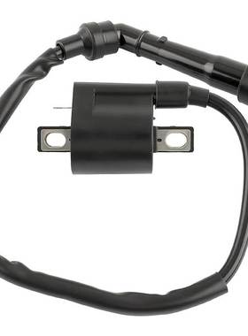 雅马哈高压包点火线圈 3YF-82370-00-00 YFM660 2002-2008