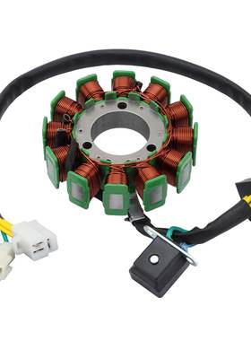 GOOFIT 摩托车定子线圈配件适用于：Stator Mage 250 (01-09)
