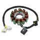 GOOFIT 250 摩托车定子线圈配件适用于：Stator Mage