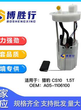 适用于猎豹CS10燃油泵总成汽油泵泵芯A05-1106100 A00-1106200