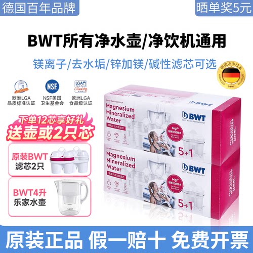 德国倍世BWT净水壶净饮机滤芯