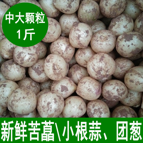 新鲜苦藠小根蒜团葱苦茭头