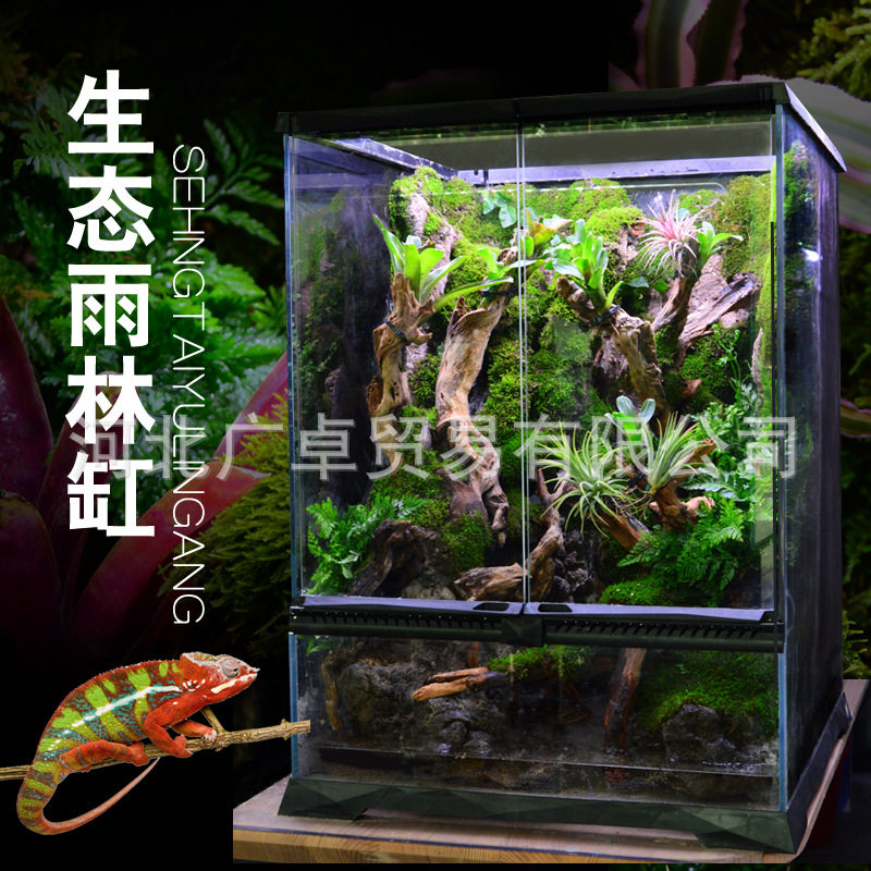 雨林缸雨淋缸生态造景缸热带雨林植物蜥蜴爬宠爬虫守宫饲养箱爬宠