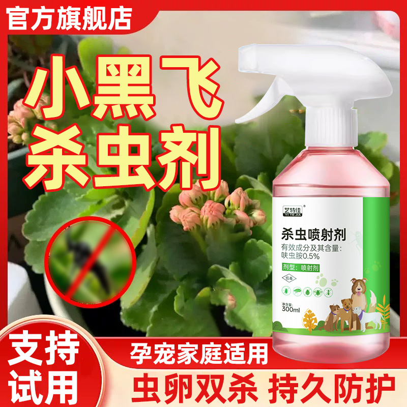 小黑飞杀虫剂宿舍盆栽驱小飞蛾药