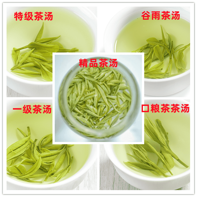 精品安吉白茶2022新茶鲜爽回甘250g散装特级一级雨前口粮多等级茶