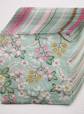 20PCs Spring Raspberry Paper Napkins Decoupage蝶骨巴特餐巾纸