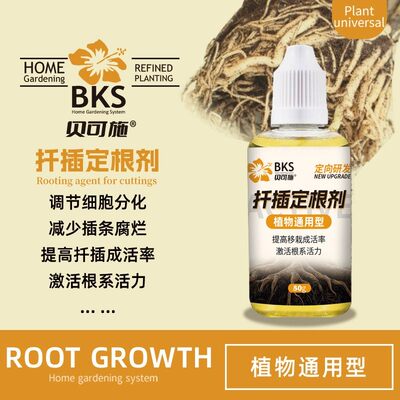 贝可施美男树生根定根调节细胞分化激活根系绿植花卉通用型旗舰