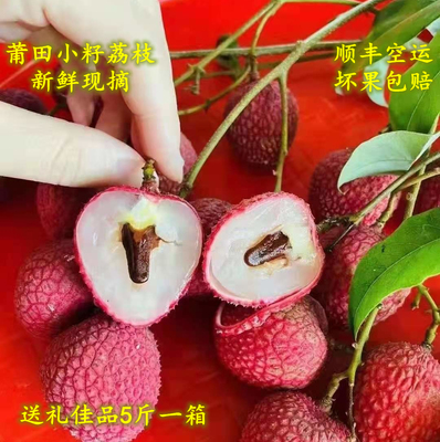 荔枝新鲜现摘现发顺丰包邮莆田状元红糯米糍孕妇特产水果整箱5斤