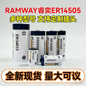LS14500容量型智能表计安