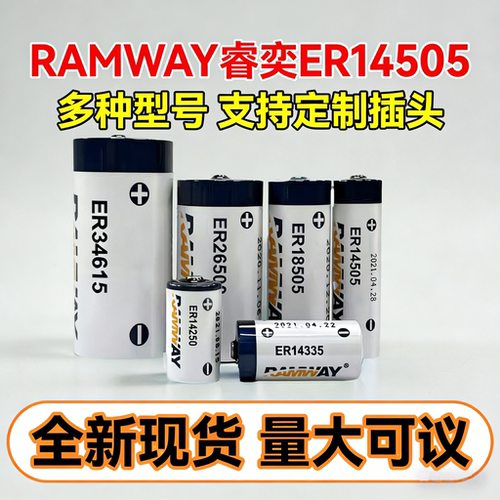 LS14500容量型智能表计安