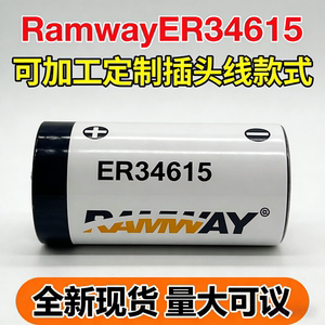 RamwyE34615电流量计水燃