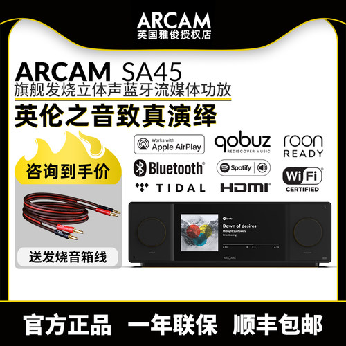 雅俊SA45旗舰HIFI流媒体蓝牙功放