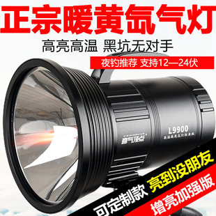 顶点夜钓灯大功率氙气灯黑坑暖黄钓鱼灯超亮诱鱼疝气垂钓台钓翘嘴