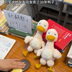 磁吸盐水鸭玩偶可拆分毛绒玩具解压整蛊创意礼品儿童过家家玩具