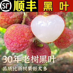 【顺丰】诏安老树黑叶金乌叶荔枝