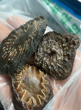 阿拉善油蓉片泡酒泡水滋补养生养肾
