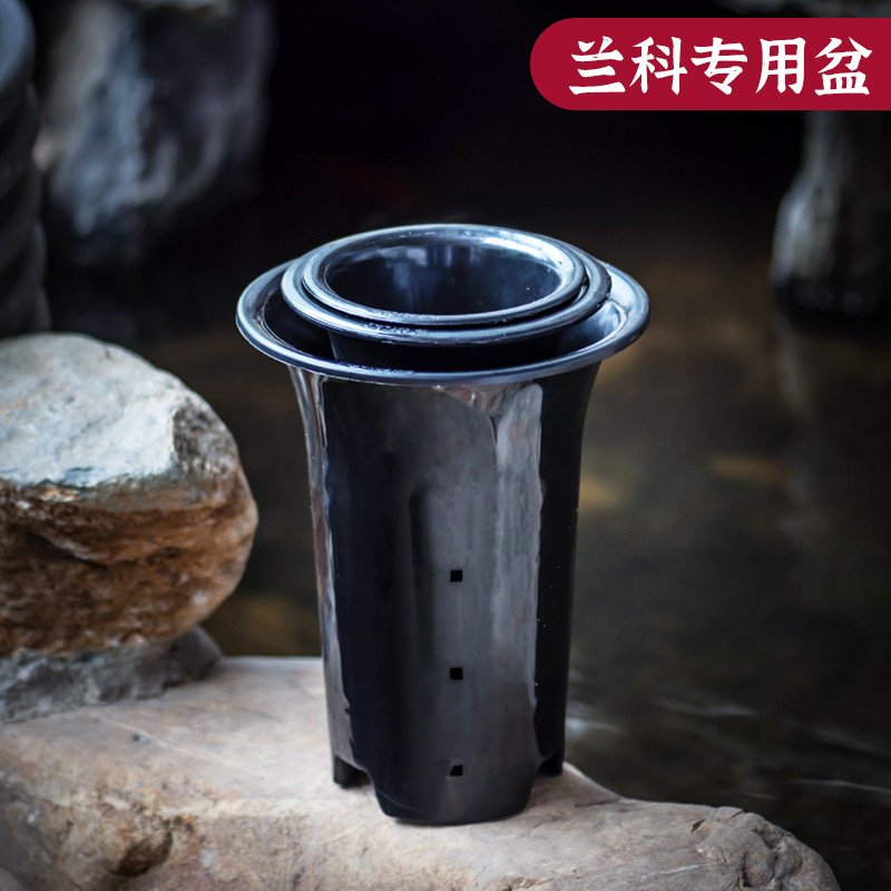 园艺兰花塑料透气实用绿植盆栽