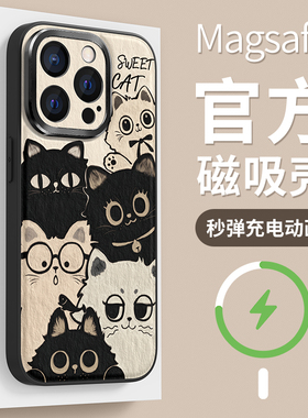 适用苹果16promax手机壳新款iphone15保护套防摔magsafe磁吸全包14plus硅胶13黑白猫咪ip12女款11pro磨砂软壳