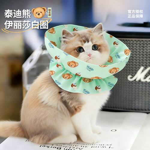 伊丽莎白圈软圈猫猫术后防舔防抓咬泰迪熊联名可调节宠物绝育头套