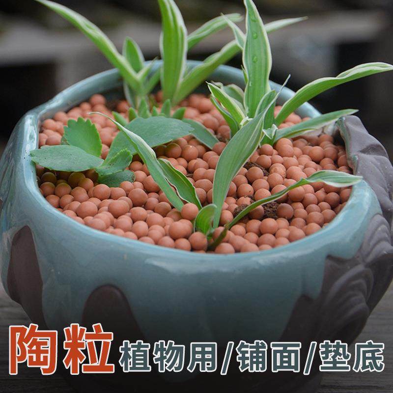 花盆多肉植物垫底陶粒铺面配土颗粒麦饭石陶粒矿化球无土栽培基质,家居饰品,花盆,淘宝优惠券,粉丝福利购,淘宝优惠卷
