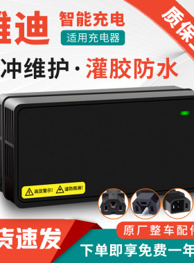 适用原装雅迪电动车电瓶充电器