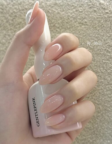 2026年超水润新款Gentle pink 透色系甲油胶套装美甲甲油胶套装