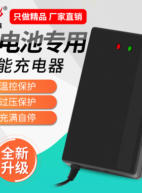 60V锂电池充电器60v5a三元17串锂电71.4v2A5A10A大功率快充外卖