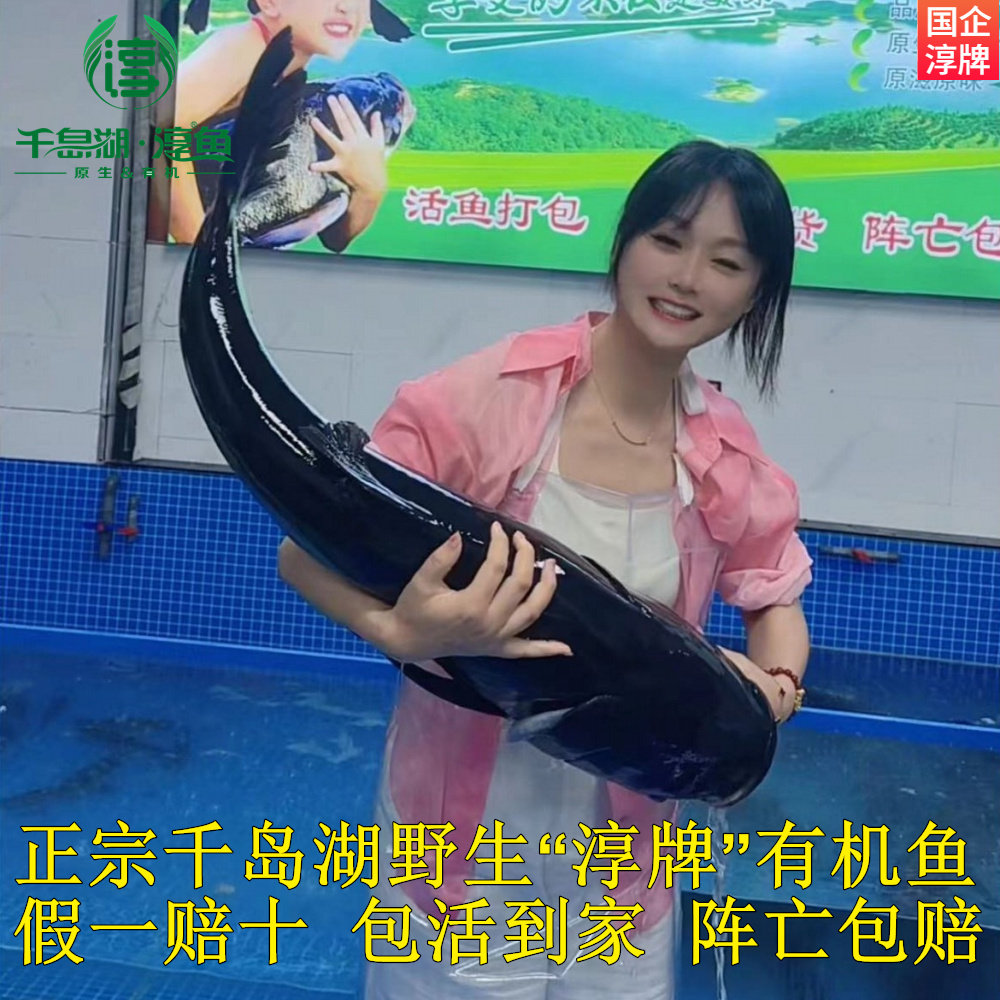 官方认证千岛湖淳牌有机鲢鳙鱼鲜活淡水大头鱼包头鱼原生态胖头鱼