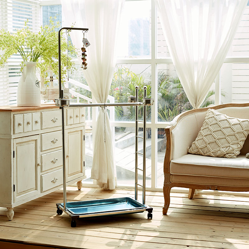 落地大型架子站杆灰鹦鹉